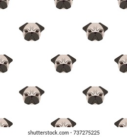 Breed of a dog, a pug.Pug's muzzle single icon in cartoon style vector symbol stock illustration web.