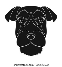 A breed of a dog, a risen schnauzer.Risen Schnauzer Muzzle single icon in black style vector symbol stock illustration web.