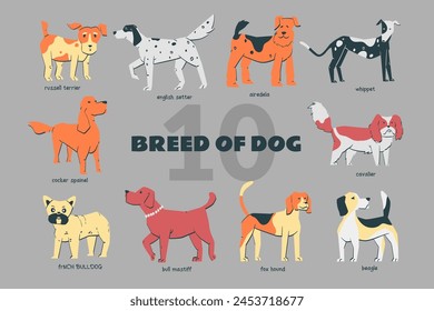 Breed of Dog set handdrawn doodle illustration with various pose