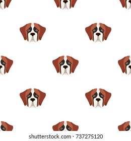Breed of a dog, St. Bernard.Muzzle of St. Bernard single icon in cartoon style vector symbol stock illustration web.