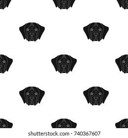 Breed of a dog, St. Bernard.Muzzle of St. Bernard single icon in black style vector symbol stock illustration web.