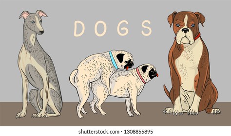 breed of dogs