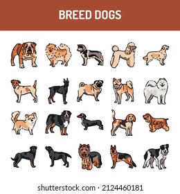 Breed dogs line icons set. Isolated vector element. Outline pictograms for web page, mobile app, promo. Editable stroke.