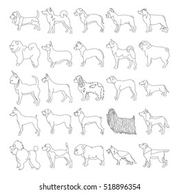 Breed dogs linear style and big set of pets husky bulldog and mastiff, vector illustration