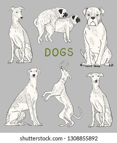 breed of dogs, vector