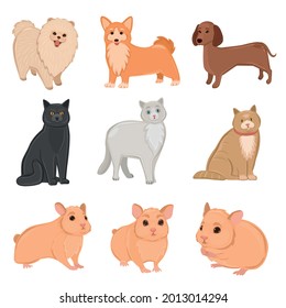 Breed of realistic pets cats, dogs and hamsters - Vector illustration