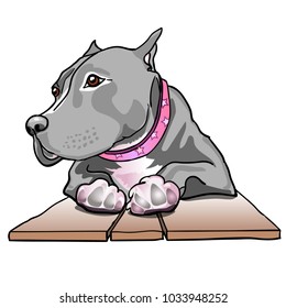 Breed Staffordshire terrier dog laying down on wooden board. Dog paws. Vector illustration.