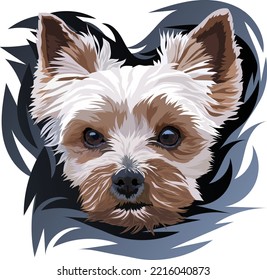 Breed Yorkshire Terrier. Portrait of a dog on a dark background. Vector illustration