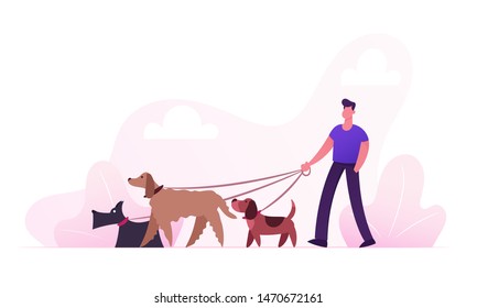 Breeder Male Character Walking with Dogs Team Relaxing in Park. Leisure Communication Love Care of Animals Outdoor Activity. People Spending Time with Pets Outdoors Cartoon Flat Vector Illustration