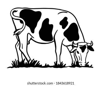 Breeding Cattle Silhouette Grazing Cow Vector Stock Vector (Royalty ...