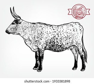 Breeding cattle. silhouette of a grazing cow. vector illustration isolated on white background