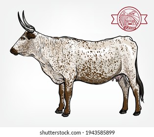 Breeding cattle. silhouette of a grazing cow. vector illustration isolated on white background