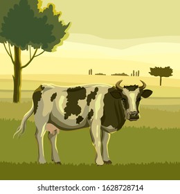 breeding cow. animal husbandry. livestock vector illustration