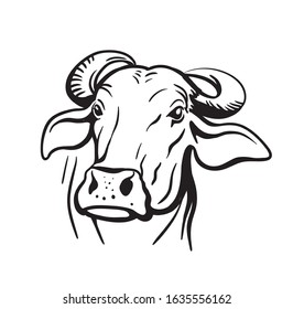 breeding cow. animal husbandry. livestock vector illustration on a white