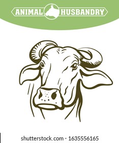 breeding cow. animal husbandry. livestock vector illustration on a white