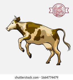 breeding cow. animal husbandry. livestock illustration on a white