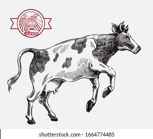 breeding cow. animal husbandry. livestock illustration on a grey