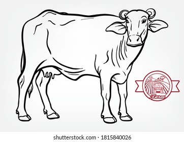 breeding cow. animal husbandry. livestock illustration on a white