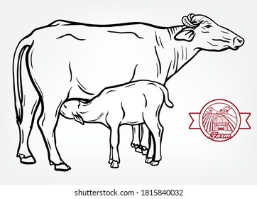 breeding cow. animal husbandry. livestock illustration on a white