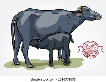 breeding cow. animal husbandry. livestock illustration on a white