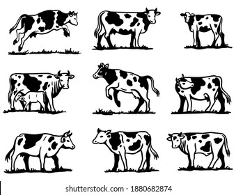 breeding cow. animal husbandry. sketches on a grey background