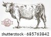 cow sketch