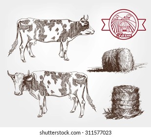 breeding cows. set of sketches made by hand