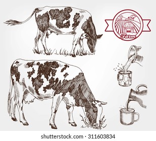 breeding cows. set of sketches made by hand