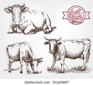 breeding cows. set of sketches made by hand