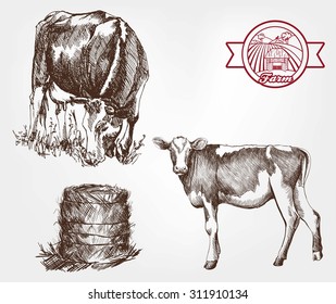 breeding cows. set of sketches made by hand