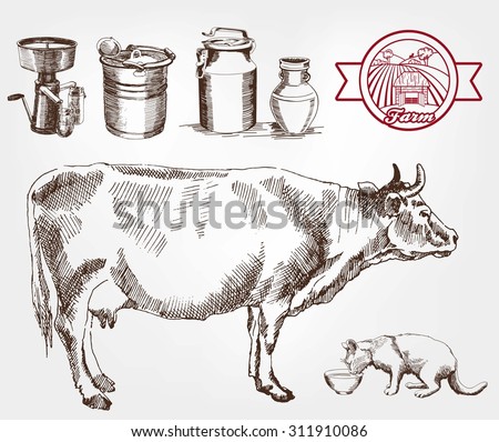 breeding cows. set of sketches made by hand