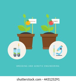 Breeding and genetic engineering. Vector concept of plants, vials, molecule DNA, microscope in the flat style. Concept perfect for agricultural or scientific brochures, infographic, other materials.