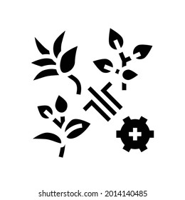 breeding varieties of tea glyph icon vector. breeding varieties of tea sign. isolated contour symbol black illustration