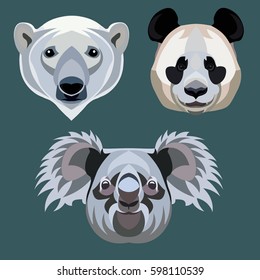 Breeds of bears