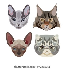 Breeds of cats