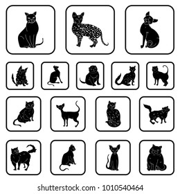 Breeds of cats black icons in set collection for design. Pet cat vector symbol stock web illustration.