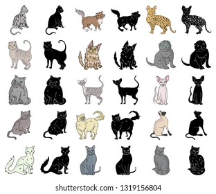Breeds of cats cartoon,black icons in set collection for design. Pet cat vector symbol stock web illustration.