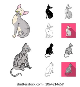 Breeds of cats cartoon,black,flat,monochrome,outline icons in set collection for design. Pet cat vector symbol stock web illustration.