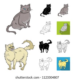 Breeds of cats cartoon,black,flat,monochrome,outline icons in set collection for design. Pet cat vector symbol stock web illustration.