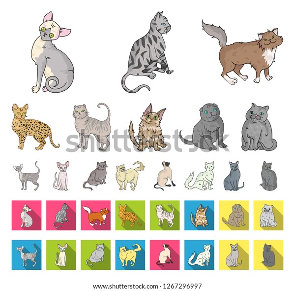 Breeds Cats Cartoonflat Icons Set Collection Stock Vector (Royalty Free ...