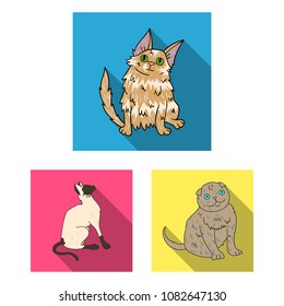 Breeds of cats flat icons in set collection for design. Pet cat vector symbol stock web illustration.