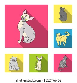 Breeds of cats flat icons in set collection for design. Pet cat vector symbol stock web illustration.