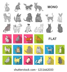 Breeds of cats flat icons in set collection for design. Pet cat vector symbol stock web illustration.