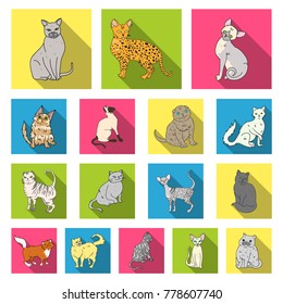 Breeds of cats flat icons in set collection for design. Pet cat vector symbol stock web illustration.