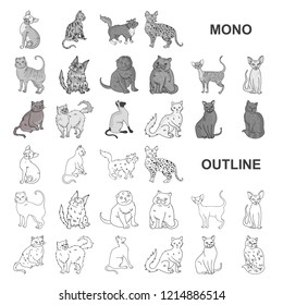 Breeds of cats monochrom icons in set collection for design. Pet cat vector symbol stock web illustration.