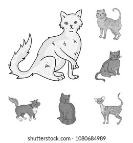 Breeds of cats monochrome icons in set collection for design. Pet cat vector symbol stock web illustration.