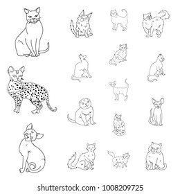 Breeds of cats outline icons in set collection for design. Pet cat vector symbol stock web illustration.