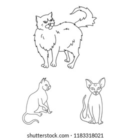 Breeds of cats outline icons in set collection for design. Pet cat vector symbol stock web illustration.