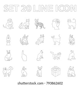 Breeds of cats outline icons in set collection for design. Pet cat vector symbol stock web illustration.