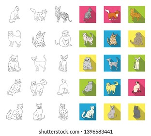 Breeds  cats outline,flat icons in set collection  design. Pet cat vector symbol stock web illustration.